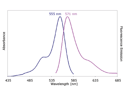 Absorbance and Fluorescence Emission